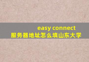 easy connect服务器地址怎么填山东大学